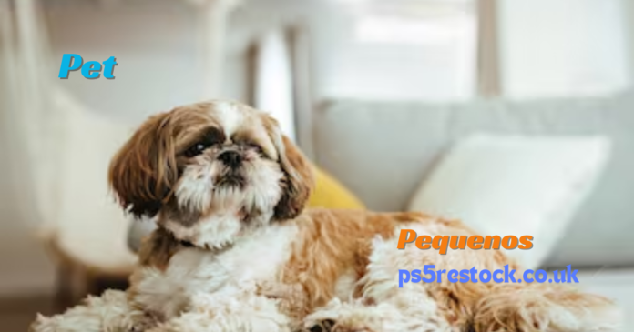 https://razasdeperros.net/pequenos