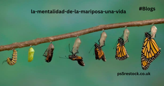 https://pussmoth.com/la-mentalidad-de-la-mariposa-una-vida